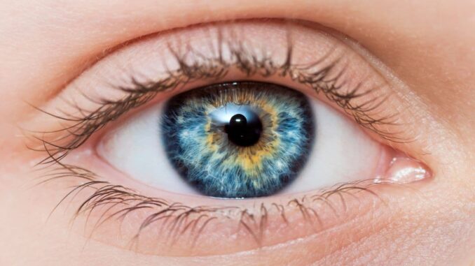 Nanopartículas de ouro restauram visão Olho humano em detalhe, representando estudo sobre nanopartículas de ouro que restauram a visão